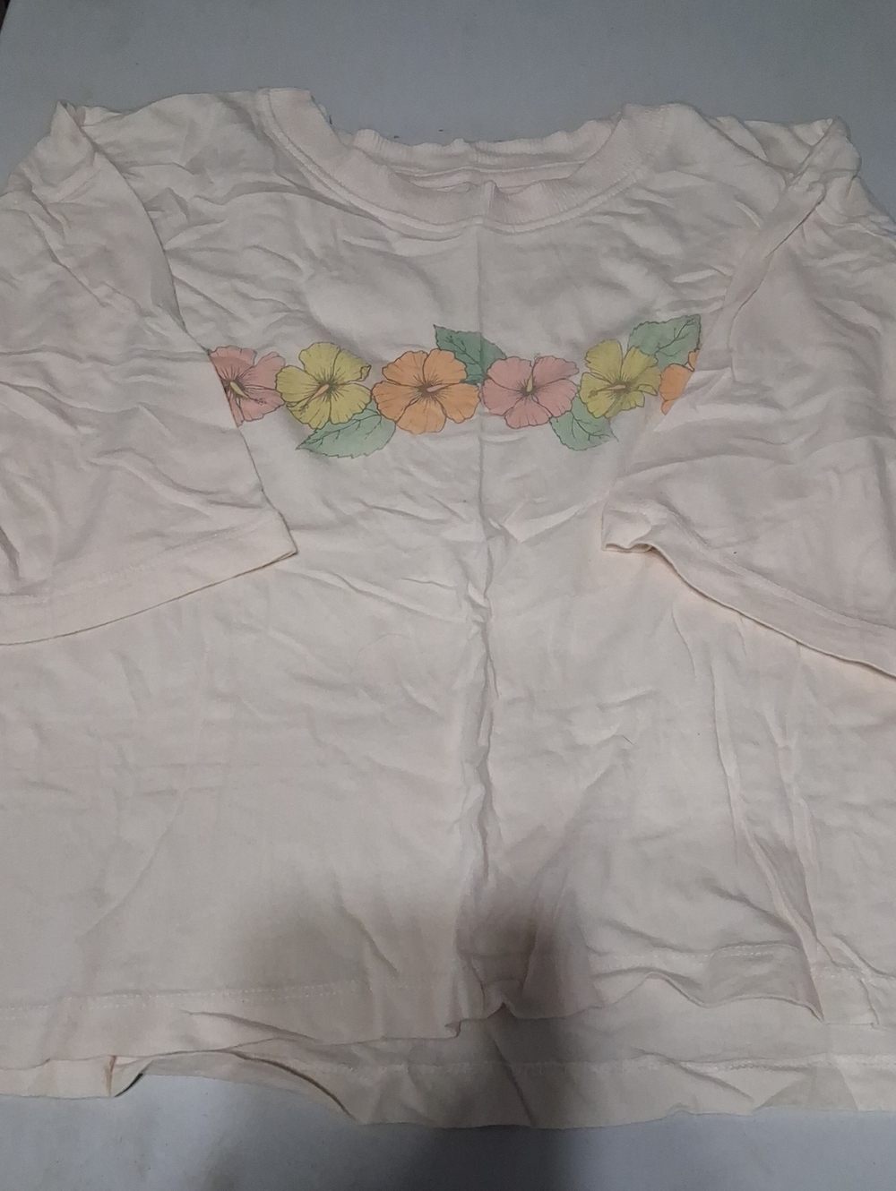 American Eagle Outfitters Cream Sleeve Crop Top with Pastel Floral Band